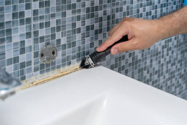 Best Mold Removal Company Near Me  in Bromley, KY